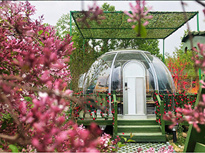 網紅（hóng）餐飲星空房